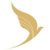 وارش